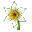Nergis